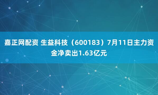 嘉正网配资 生益科技（600183）7月11日主力资金净卖出1.63亿元