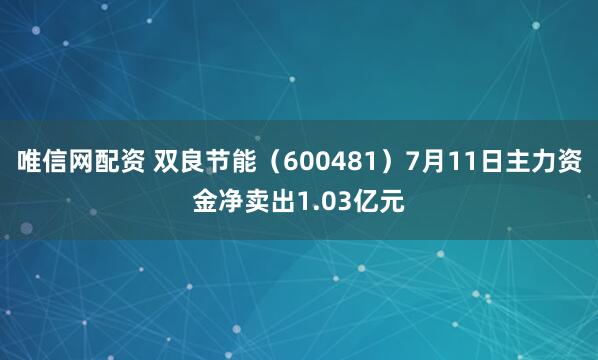 唯信网配资 双良节能（600481）7月11日主力资金净卖出1.03亿元
