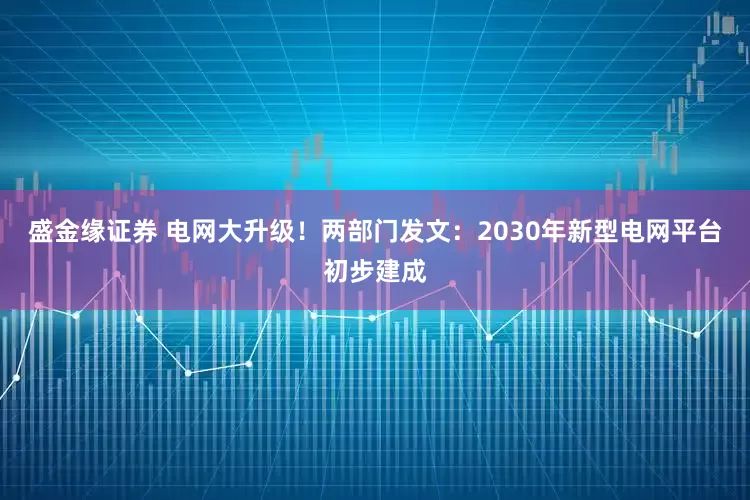 盛金缘证券 电网大升级！两部门发文：2030年新型电网平台初步建成