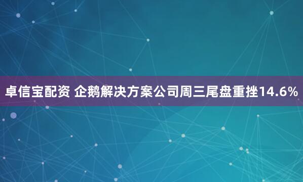卓信宝配资 企鹅解决方案公司周三尾盘重挫14.6%